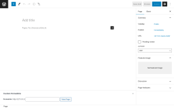 Page screenshot: Add New Page &lsaquo; Test site &mdash; WordPress