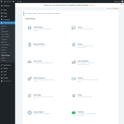 Page screenshot: RegistrationMagic → Global Settings