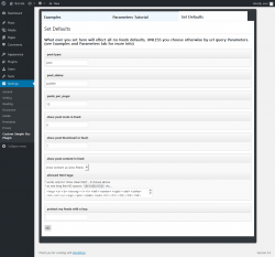 Page screenshot: Settings  &rarr; Custom Simple Rss Plugin