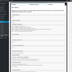 Page screenshot: Settings &rarr; Custom Simple Rss Plugin