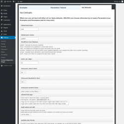 Page screenshot: Settings &rarr; Custom Simple Rss Plugin