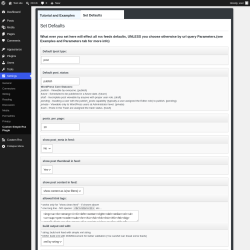 Page screenshot: Settings &rarr; Custom Simple Rss Plugin