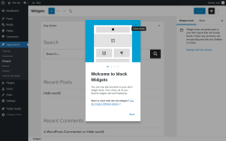 Page screenshot: Widgets &lsaquo; Test site &mdash; WordPress