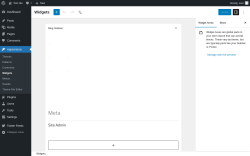 Page screenshot: Widgets &lsaquo; Test site &mdash; WordPress