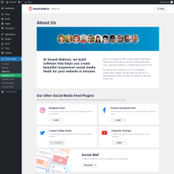 Page screenshot: Twitter Feeds &rarr; About Us