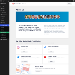 Page screenshot: Twitter Feeds &rarr; About Us