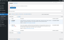 Page screenshot: Plugins &lsaquo; Test site &mdash; WordPress