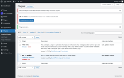 Page screenshot: Plugins &lsaquo; Test site &mdash; WordPress