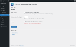 Page screenshot: Widget Visibility