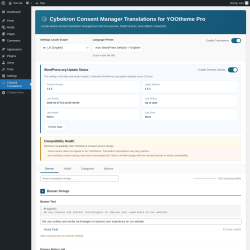 Page screenshot: Consent Translations