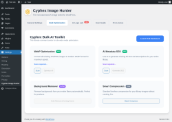 Page screenshot: Settings &rarr; Cyphex Image Hunter &rarr; Bulk Optimization