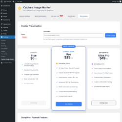 Page screenshot: Settings &rarr; Cyphex Image Hunter &rarr; 
						Pro License											
