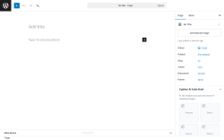 Page screenshot: Add Page &lsaquo; Test site &mdash; WordPress