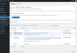 Page screenshot: Plugins &lsaquo; Test site &mdash; WordPress