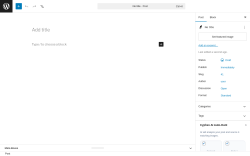Page screenshot: Add Post &lsaquo; Test site &mdash; WordPress