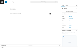 Page screenshot: Add Page &lsaquo; Test site &mdash; WordPress