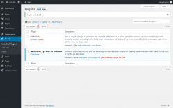 Page screenshot: Plugins &lsaquo; Test site &mdash; WordPress