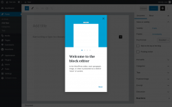 Page screenshot: Add New Post ‹ Test site — WordPress