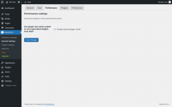 Page screenshot: Reactions → General settings → Performance