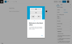Page screenshot: Add New Page ‹ Test site — WordPress