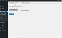 Page screenshot: Reactions → General settings → Performance