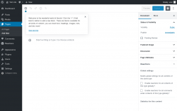 Page screenshot: Add New Page ‹ Test site — WordPress