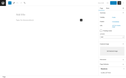 Page screenshot: Add New Page ‹ Test site — WordPress