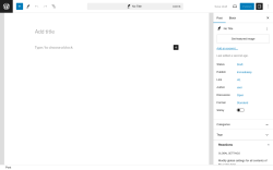 Page screenshot: Add New Post ‹ Test site — WordPress