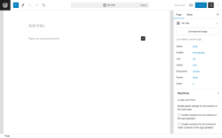 Page screenshot: Add New Page ‹ Test site — WordPress