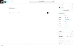 Page screenshot: Add Post ‹ Test site — WordPress