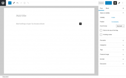 Page screenshot: Add New Post ‹ Test site — WordPress