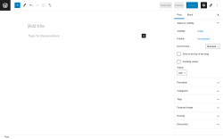 Page screenshot: Add New Post ‹ Test site — WordPress