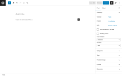 Page screenshot: Add New Post ‹ Test site — WordPress