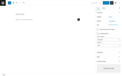 Page screenshot: Add New Post ‹ Test site — WordPress
