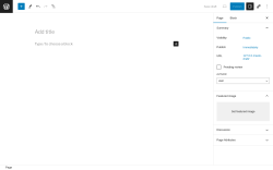 Page screenshot: Add New Page ‹ Test site — WordPress