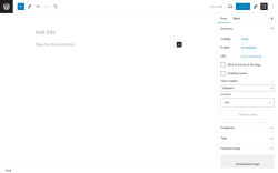 Page screenshot: Add New Post ‹ Test site — WordPress