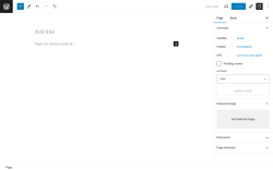 Page screenshot: Add New Page ‹ Test site — WordPress