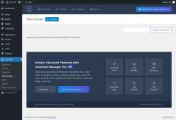 Page screenshot: Autolinks → Term Groups