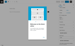 Page screenshot: Add New Page ‹ Test site — WordPress