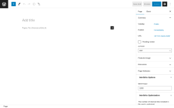 Page screenshot: Add New Page ‹ Test site — WordPress