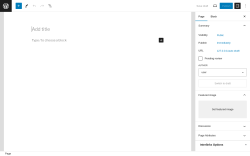 Page screenshot: Add New Page ‹ Test site — WordPress