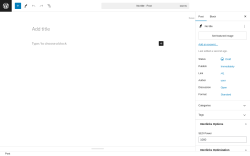 Page screenshot: Add New Post ‹ Test site — WordPress
