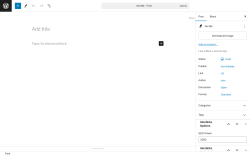 Page screenshot: Add New Post ‹ Test site — WordPress