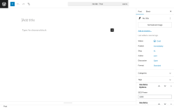 Page screenshot: Add Post ‹ Test site — WordPress