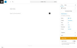 Page screenshot: Add Post ‹ Test site — WordPress