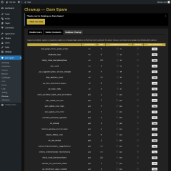 Page screenshot: Dam Spam &rarr; Cleanup &rarr; Database Cleanup