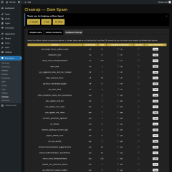 Page screenshot: Dam Spam &rarr; Cleanup &rarr; Database Cleanup