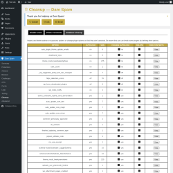 Page screenshot: Dam Spam &rarr; Cleanup &rarr; Database Cleanup