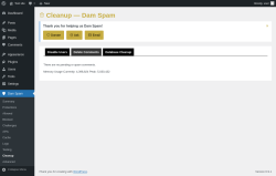 Page screenshot: Dam Spam &rarr; Cleanup &rarr; Delete Comments