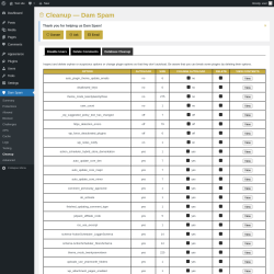 Page screenshot: Dam Spam &rarr; Cleanup &rarr; Database Cleanup